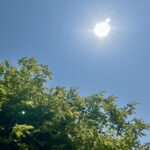 GW休業のお知らせ