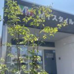 ５･６月チラシ《リフォーム大感謝祭》＆ＬＩＮＥのお知らせ